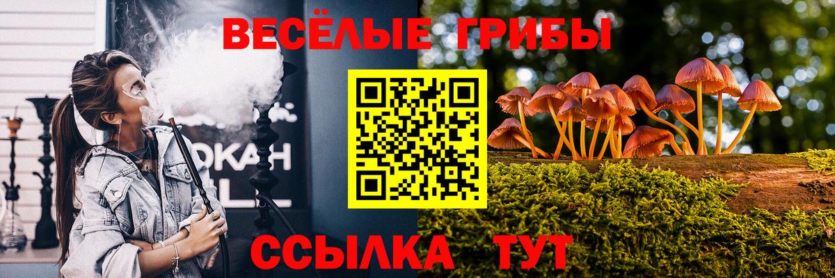 Шелехов  Псилоцибиновые грибы мухоморы  Вход с VPN 